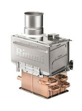 Газовый конденсационный котел RINNAI BR-C30 LNG (Фото 6)